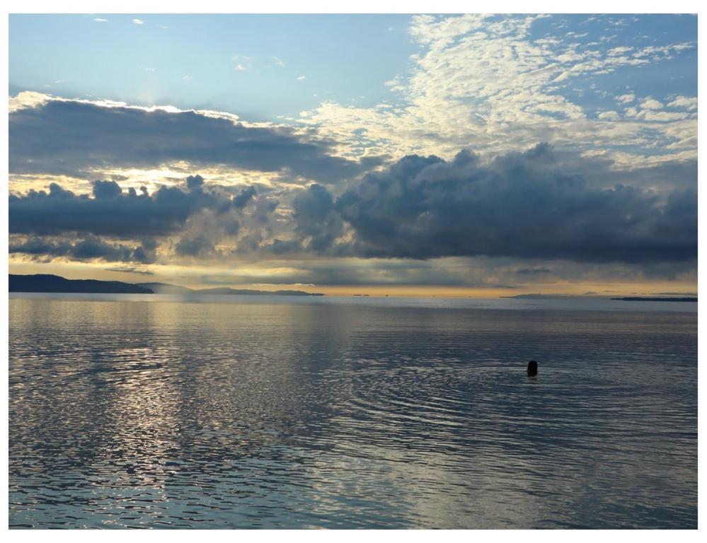 فندق Terrazas Del Golfo La Palma المظهر الخارجي الصورة